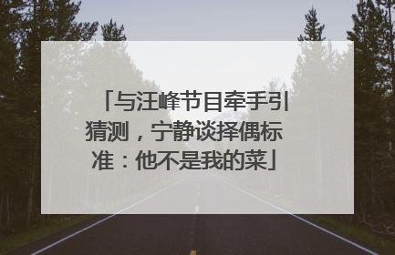 与汪峰节目牵手引猜测，宁静谈择偶标准：他不是我的菜