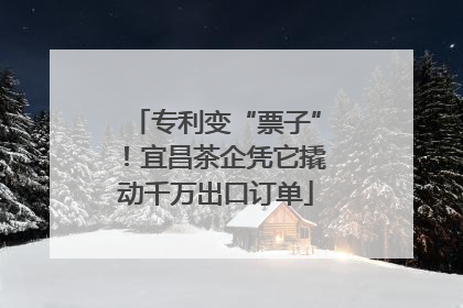专利变“票子”！宜昌茶企凭它撬动千万出口订单