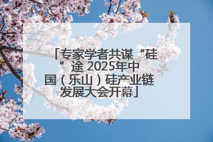 专家学者共谋“硅”途 2025年中国（乐山）硅产业链发展大会开幕