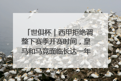 世俱杯｜西甲拒绝调整下赛季开赛时间，皇马和马竞面临长达一年的“魔鬼赛程”