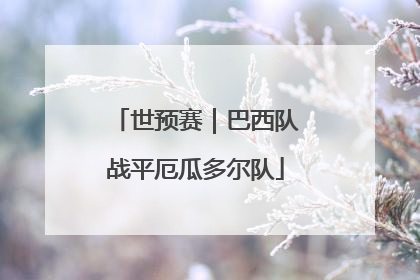世预赛｜巴西队战平厄瓜多尔队