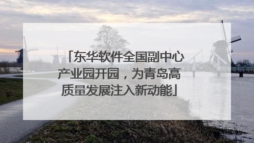 东华软件全国副中心产业园开园，为青岛高质量发展注入新动能