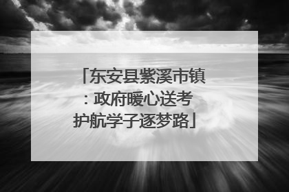 东安县紫溪市镇：政府暖心送考 护航学子逐梦路