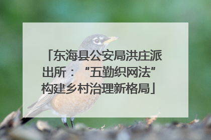 东海县公安局洪庄派出所：“五勤织网法”构建乡村治理新格局