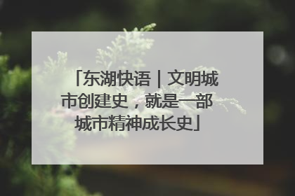 东湖快语｜文明城市创建史，就是一部城市精神成长史
