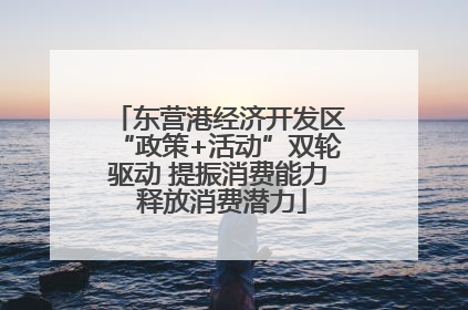东营港经济开发区“政策+活动”双轮驱动 提振消费能力 释放消费潜力