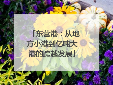 东营港：从地方小港到亿吨大港的跨越发展