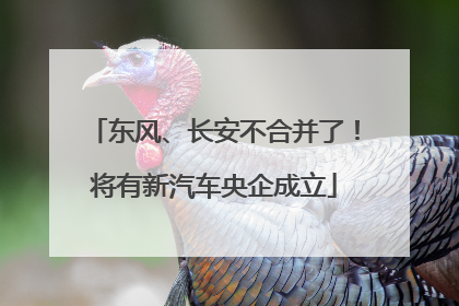 东风、长安不合并了！将有新汽车央企成立