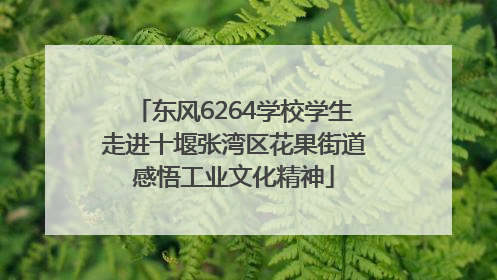 东风6264学校学生走进十堰张湾区花果街道感悟工业文化精神