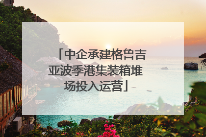 中企承建格鲁吉亚波季港集装箱堆场投入运营