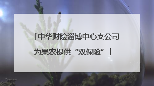 中华财险淄博中心支公司为果农提供“双保险”