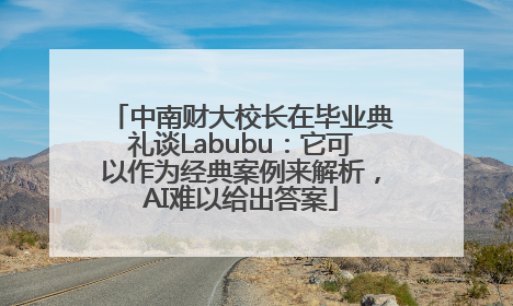 中南财大校长在毕业典礼谈Labubu：它可以作为经典案例来解析，AI难以给出答案