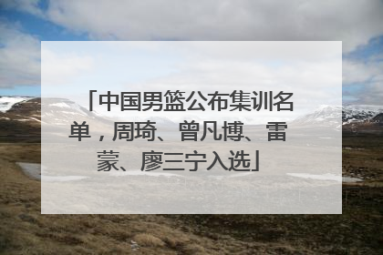 中国男篮公布集训名单，周琦、曾凡博、雷蒙、廖三宁入选