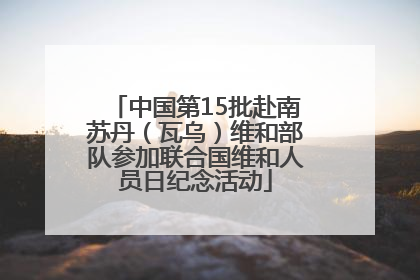 中国第15批赴南苏丹（瓦乌）维和部队参加联合国维和人员日纪念活动