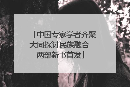 中国专家学者齐聚大同探讨民族融合 两部新书首发