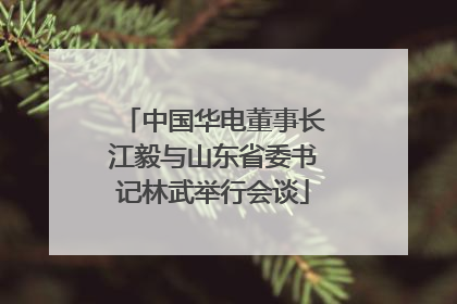中国华电董事长江毅与山东省委书记林武举行会谈