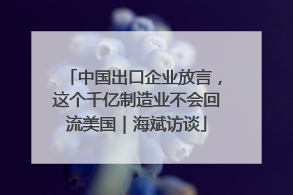 中国出口企业放言，这个千亿制造业不会回流美国｜海斌访谈