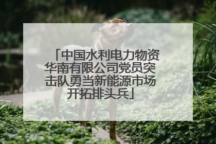 中国水利电力物资华南有限公司党员突击队勇当新能源市场开拓排头兵