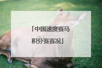 中国速度赛马积分赛赛况