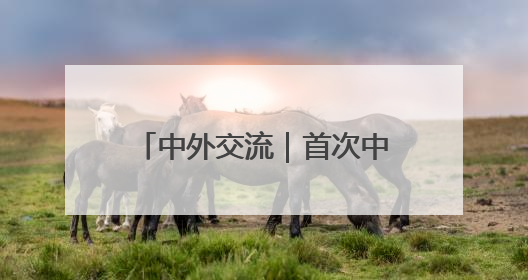 中外交流｜首次中肯文化和旅游季活动在肯尼亚启动