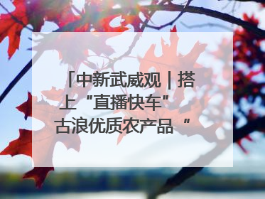 中新武威观｜搭上“直播快车” 古浪优质农产品“云端”走俏