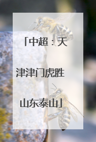 中超：天津津门虎胜山东泰山