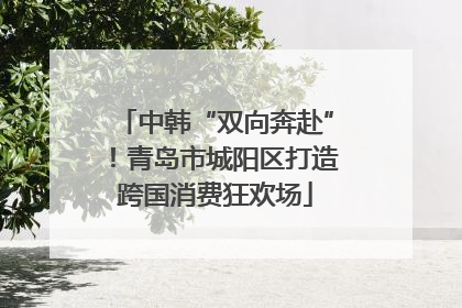 中韩“双向奔赴”！青岛市城阳区打造跨国消费狂欢场