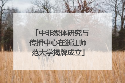 中非媒体研究与传播中心在浙江师范大学揭牌成立