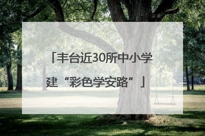 丰台近30所中小学建“彩色学安路”