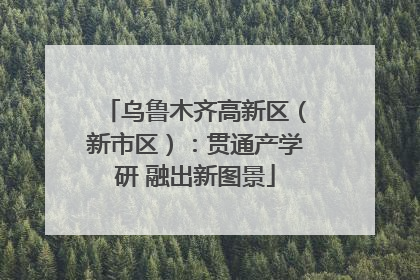 乌鲁木齐高新区（新市区）：贯通产学研 融出新图景