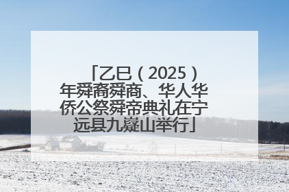 乙巳（2025）年舜裔舜商、华人华侨公祭舜帝典礼在宁远县九嶷山举行