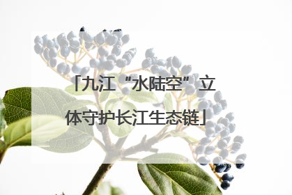 九江“水陆空”立体守护长江生态链