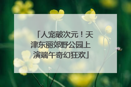 人宠破次元！天津东丽郊野公园上演端午奇幻狂欢