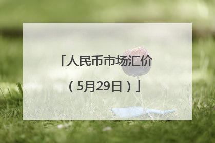 人民币市场汇价（5月29日）