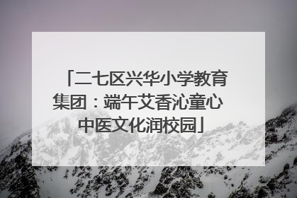 二七区兴华小学教育集团：端午艾香沁童心 中医文化润校园
