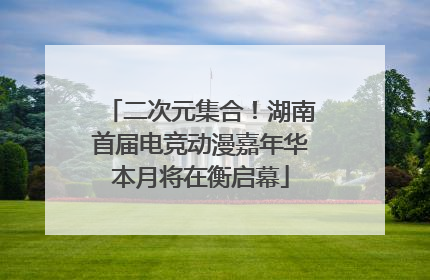 二次元集合！湖南首届电竞动漫嘉年华本月将在衡启幕