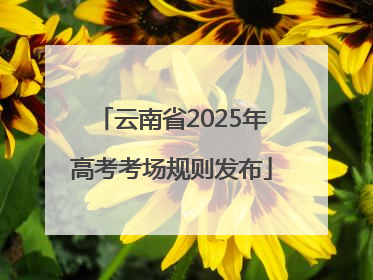 云南省2025年高考考场规则发布