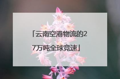 云南空港物流的27万吨全球竞速