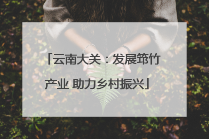 云南大关：发展筇竹产业 助力乡村振兴