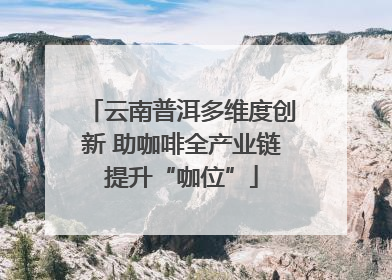 云南普洱多维度创新 助咖啡全产业链提升“咖位”