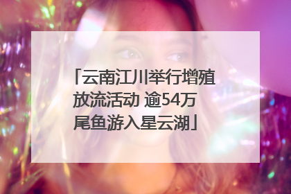 云南江川举行增殖放流活动 逾54万尾鱼游入星云湖