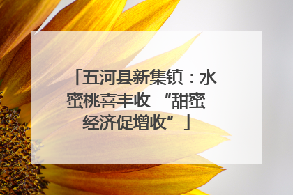 五河县新集镇：水蜜桃喜丰收 “甜蜜经济促增收”