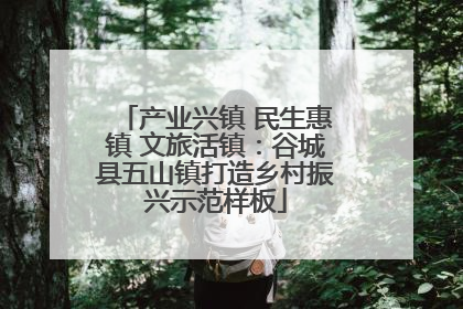 产业兴镇 民生惠镇 文旅活镇：谷城县五山镇打造乡村振兴示范样板