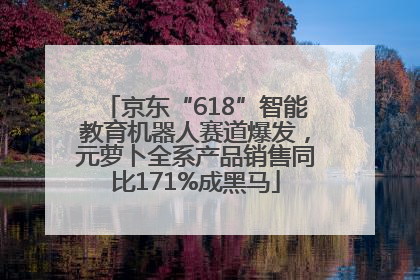 京东“618”智能教育机器人赛道爆发，元萝卜全系产品销售同比171%成黑马