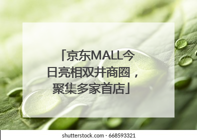 京东MALL今日亮相双井商圈，聚集多家首店
