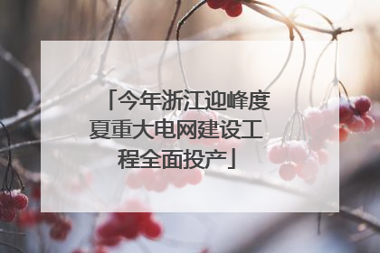 今年浙江迎峰度夏重大电网建设工程全面投产