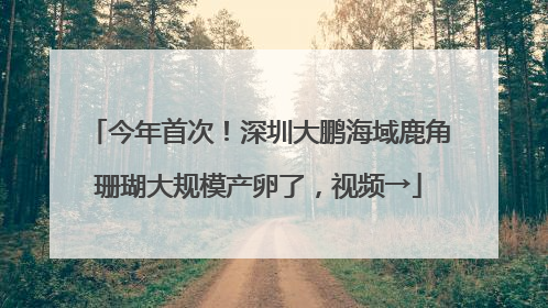 今年首次！深圳大鹏海域鹿角珊瑚大规模产卵了，视频→