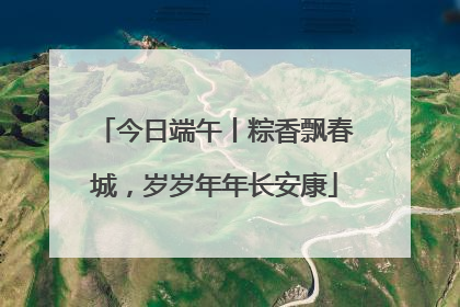 今日端午丨粽香飘春城，岁岁年年长安康