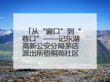从“窗口”到“巷口”——记东湖高新公安分局茅店派出所梧桐苑社区民警樊艳玲
