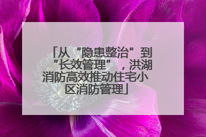 从“隐患整治”到“长效管理”，洪湖消防高效推动住宅小区消防管理